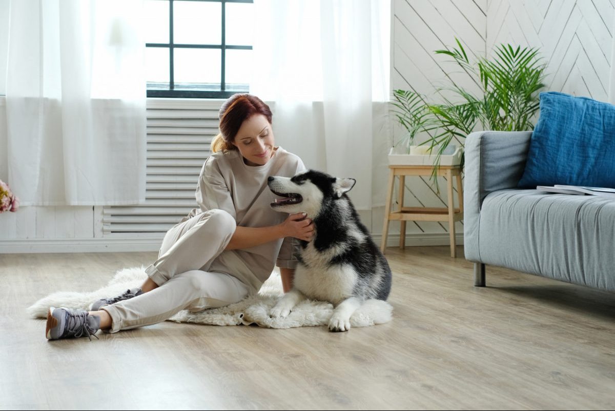What flooring to choose for a home with a dog?