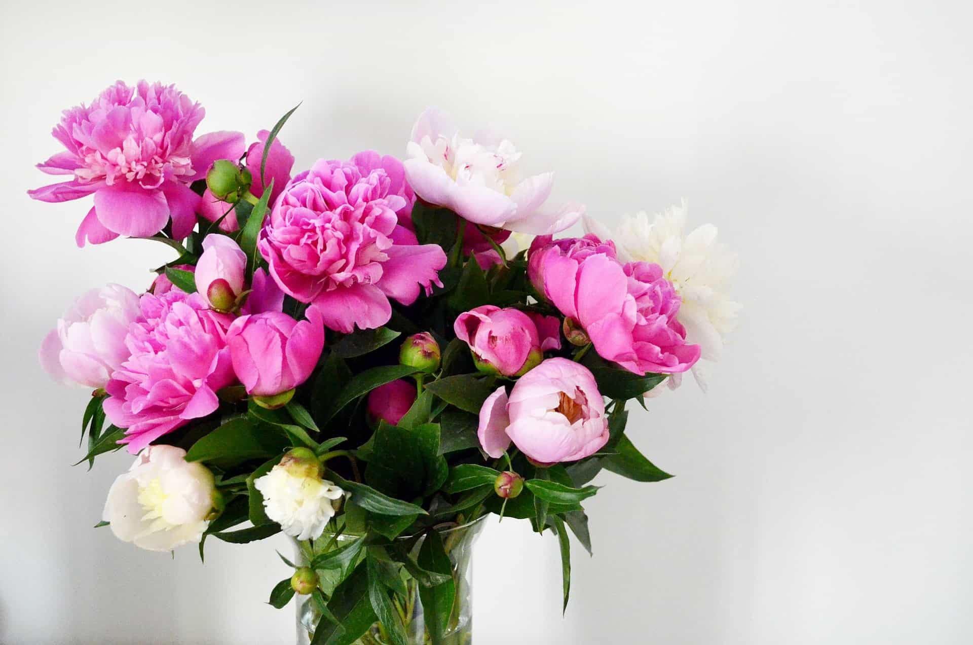 The Best Places to Buy Flowers Online