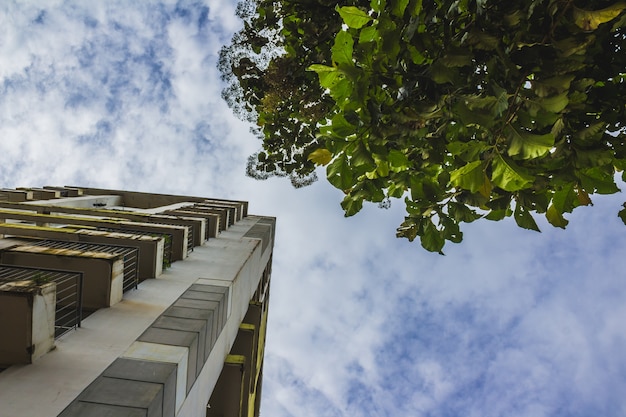 How Can Sustainable Materials Transform the Future of Window and Door Manufacturing?